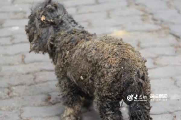 突發(fā)！青島一居民樓發(fā)生爆燃！已造1人死亡，7人受傷！3公里外有震感…